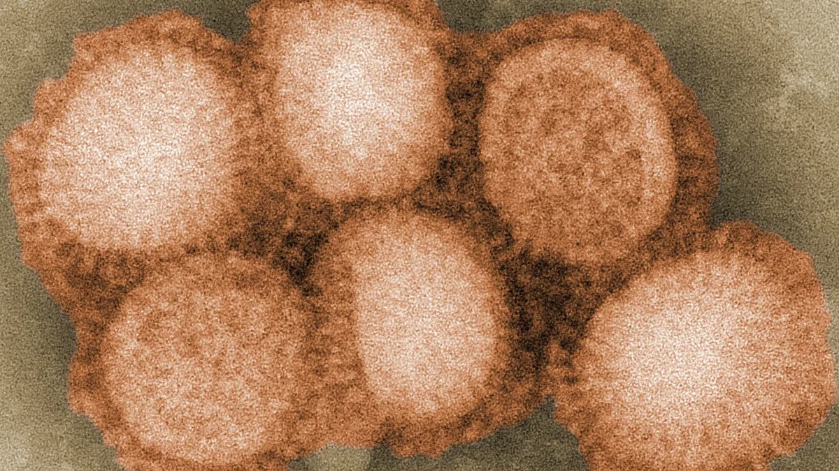 Avian Influenza In Wild Bird Populations