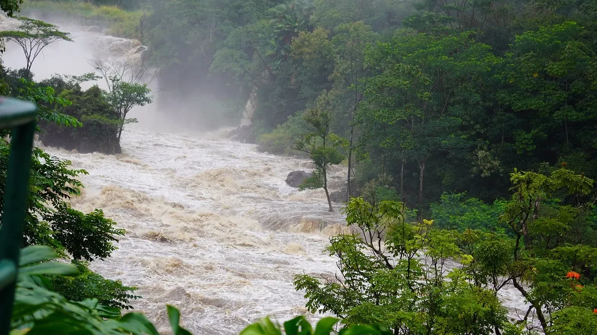 A river with a high volume of water, surrounded by trees and foliage.